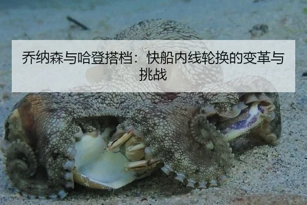 qiao-na-sen-yu-ha-deng-da-dang-kuai-chuan-nei-xian-lun-huan-de-bian-ge-yu-tiao-zhan-2-934.jpg