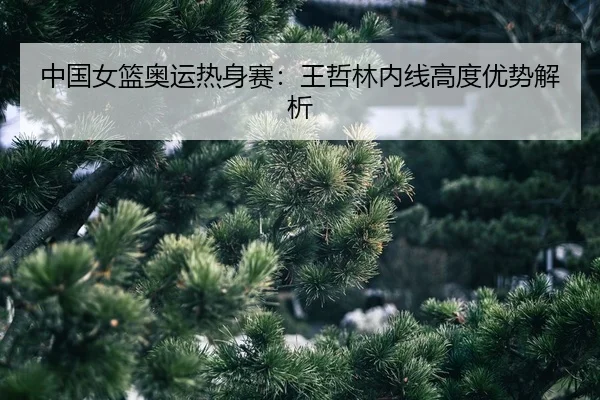 zhong-guo-nv-lan-ao-yun-re-shen-sai-wang-zhe-lin-nei-xian-gao-du-you-shi-jie-xi-2-610.jpg